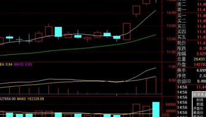 如何寻找庄股(股票如何找庄)