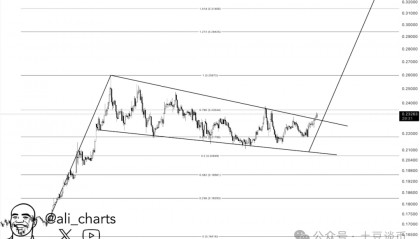 usdt走势(usdt走向)