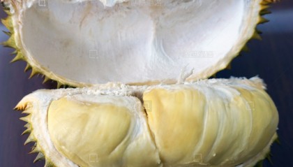 榴莲交易平台(榴莲交易所下载)