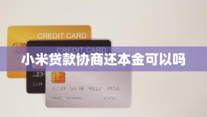 小米贷款如何手动还款(小米借贷怎么还款)