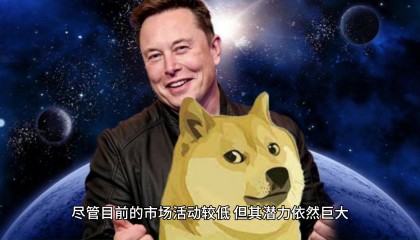 如何买狗狗币(在哪里买狗狗币)