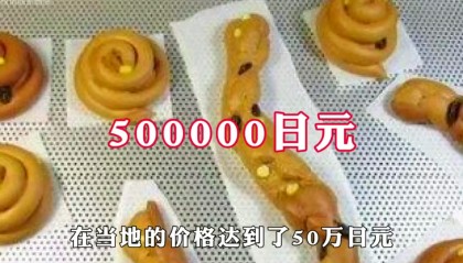 屎币是什么币(屎币是什么?合法吗?是不是骗局?)