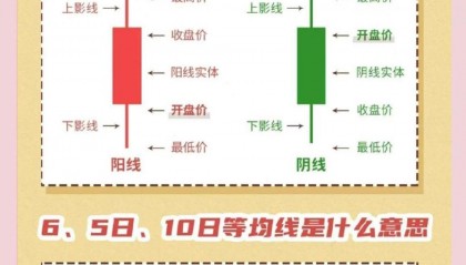 新手如何操作股票(新手如何操作股票账户)