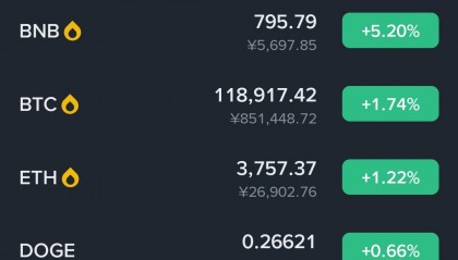 bnb币怎么交易(bnb币能到一千吗)