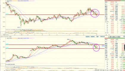 如何查询美股期货(如何查看美股 股指期货)